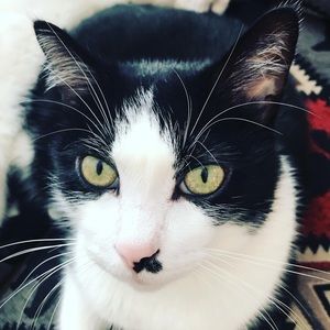 Meet your Posher, Touwanna